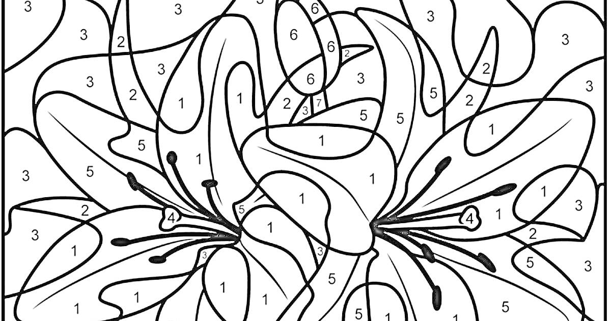 Раскраска Лилии с переплетающимися лепестками, подробное изображение для раскраски по номерам