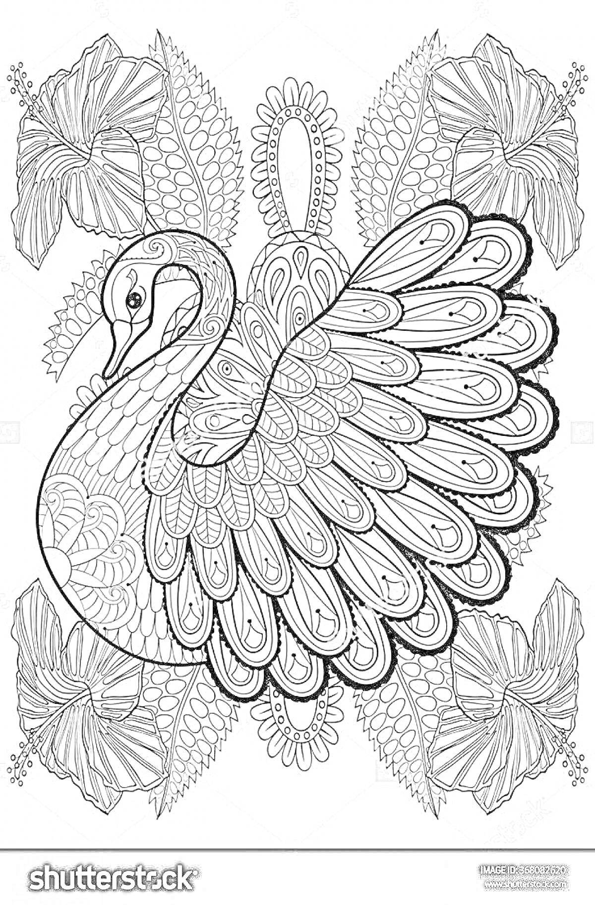 Раскраска Лебедь с декоративными элементами и цветами антистресс