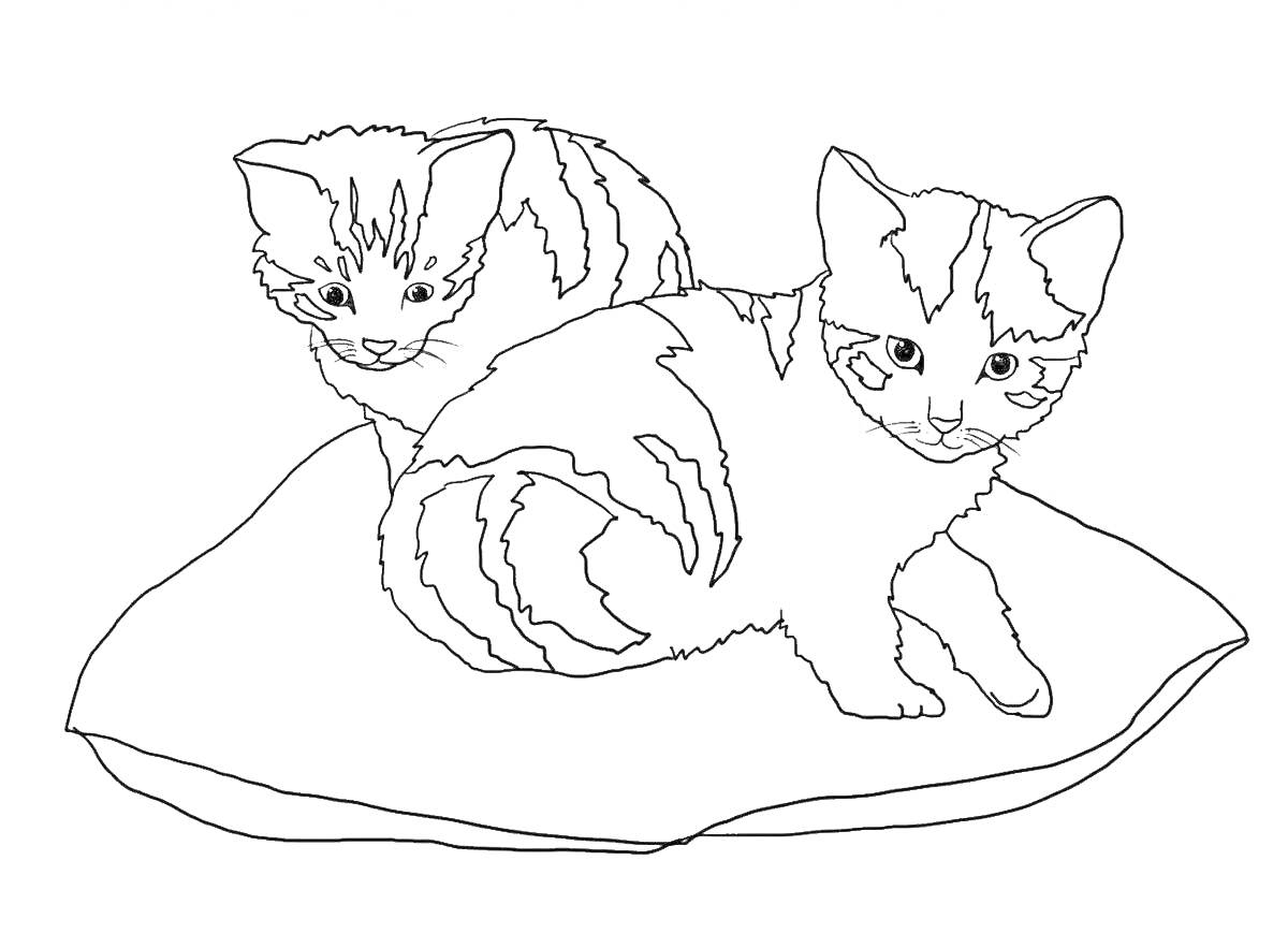 На раскраске изображено: Подушка, Два кота, Животные, Домашние питомцы