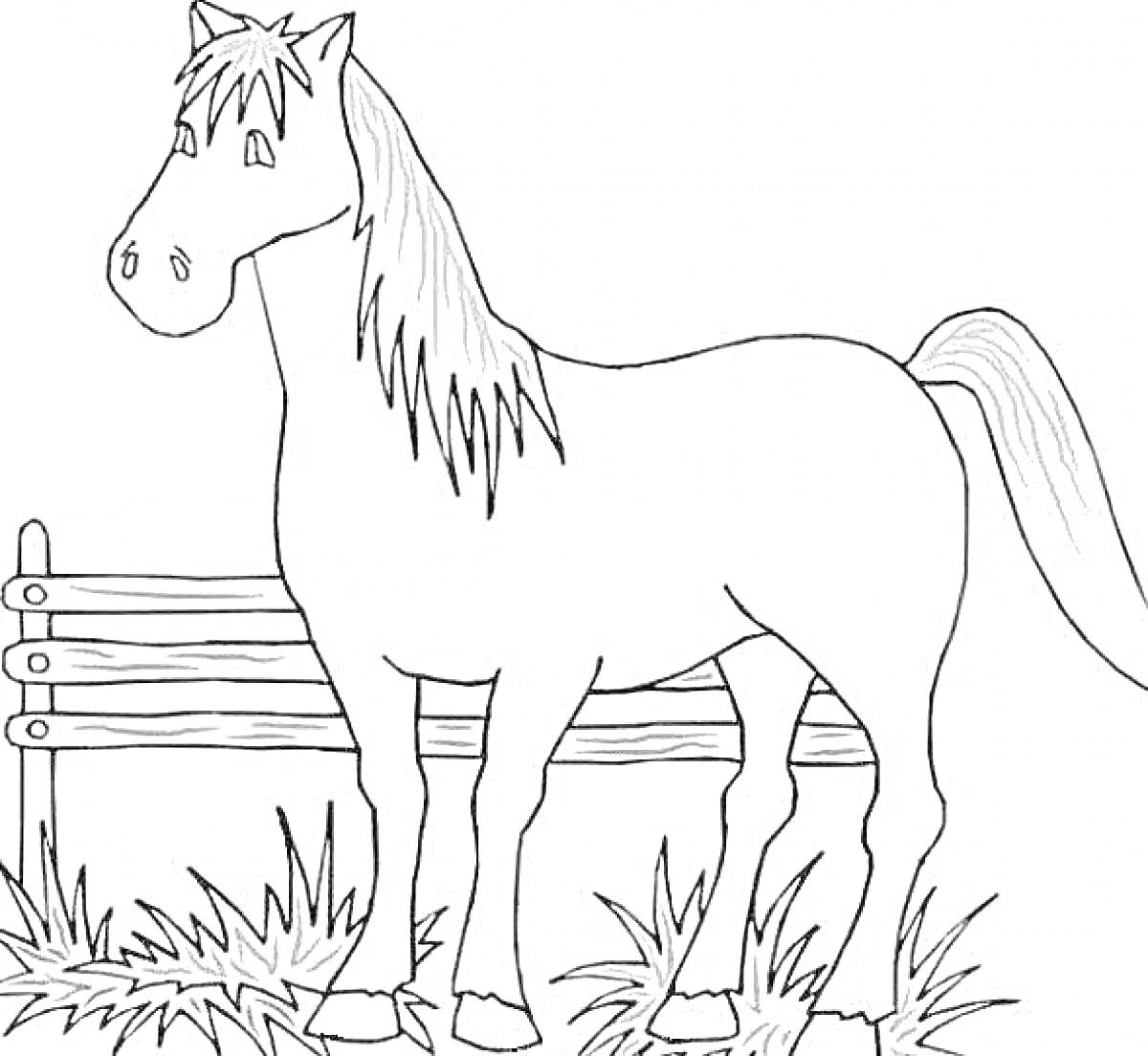 На раскраске изображено: Лошадь, Забор, Луг, Трава, Домашние животные, 2 младшая группа