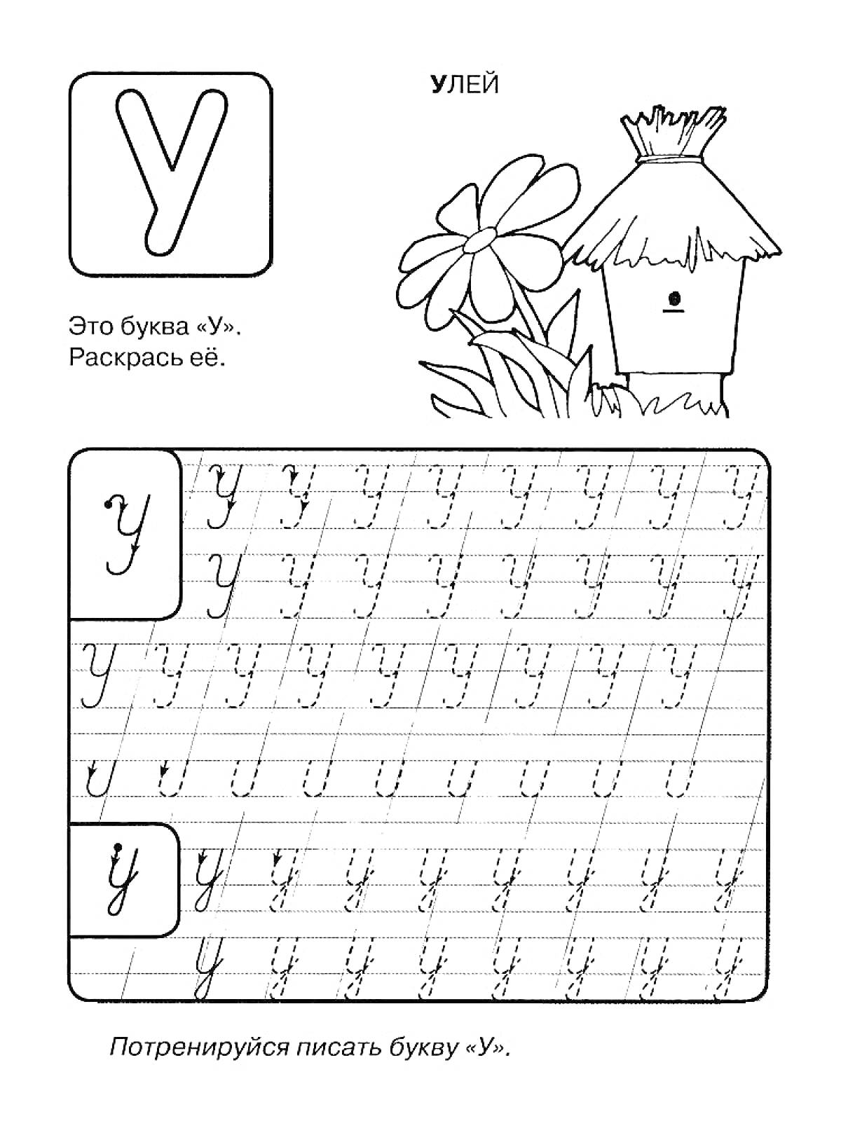 На раскраске изображено: Прописи, Буква У, Улей, Цветы, Обучение письму, Русский алфавит, Буквы, Образование