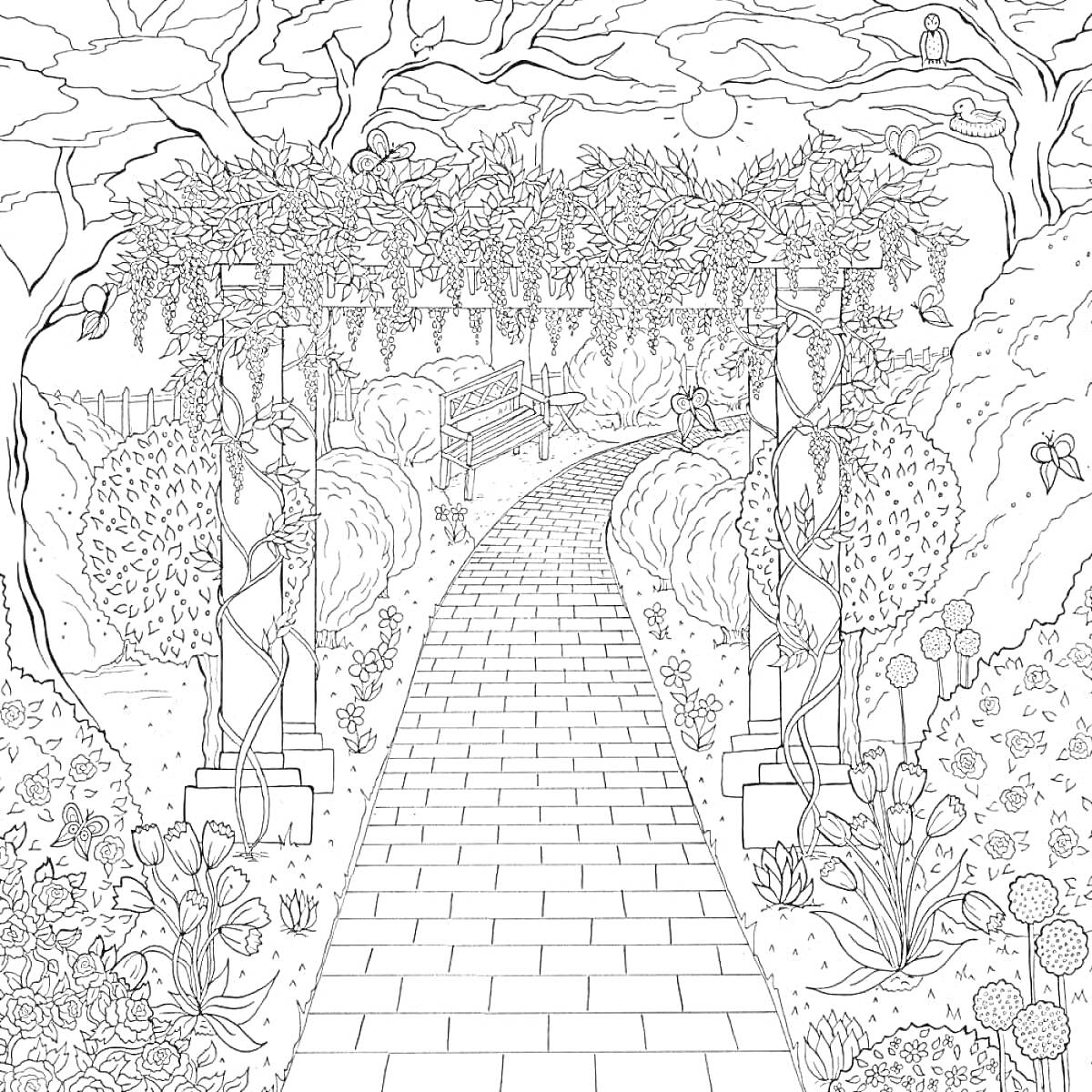 Раскраска Садовая аллея с аркой, скамейкой и окружением из деревьев и кустарников