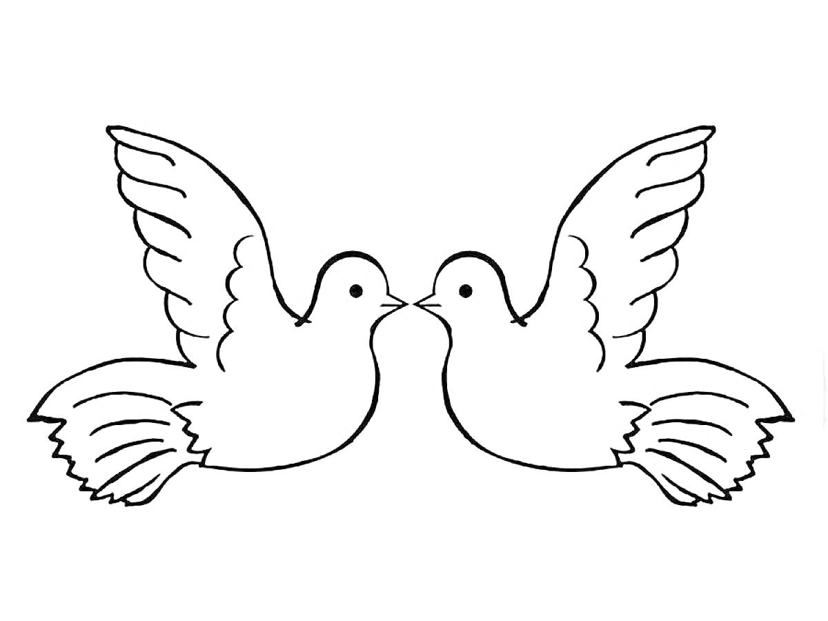 Раскраска Два голубя мира, расправленные крылья, лица друг к другу