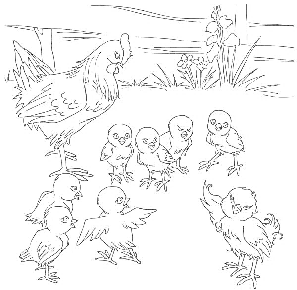 На раскраске изображено: Цыплята, Птичий двор, Забор, Цветы, Трава, Природа, Ферма