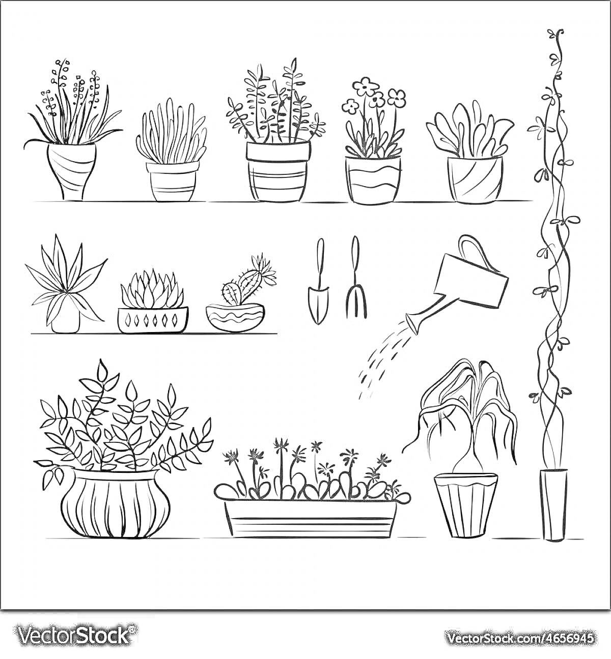 На раскраске изображено: Комнатные растения, Горшки, Полки, Садовые инструменты, Лейка, Уход за растениями, Цветок в горшке