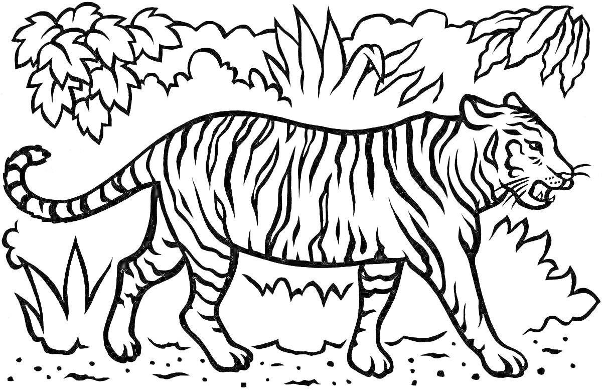 Амурский тигр в лесу с растительностью на фоне