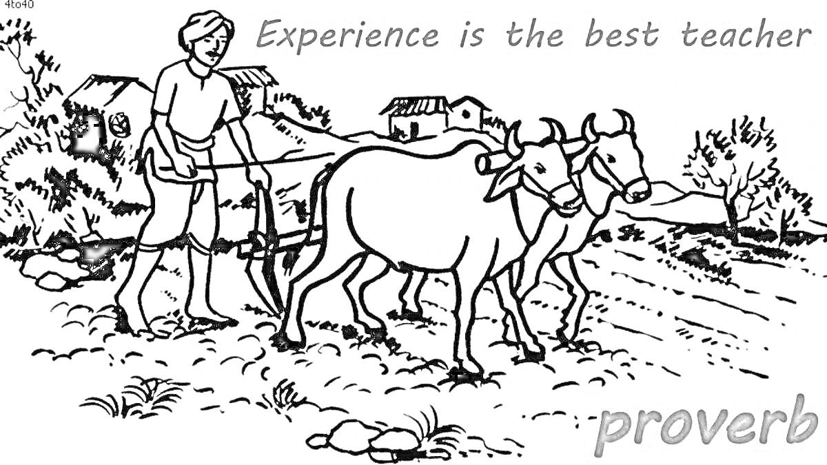 Раскраска Мужчина, управляющий парой рабочих быков, вспахивающих поле на фоне деревни и природы