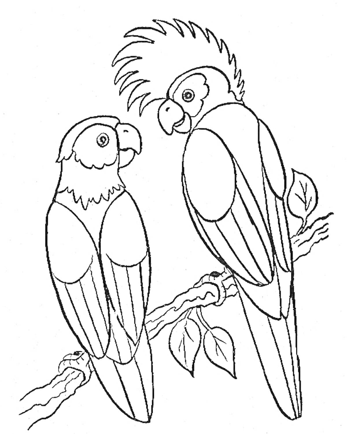 Два попугая на ветке с листьями