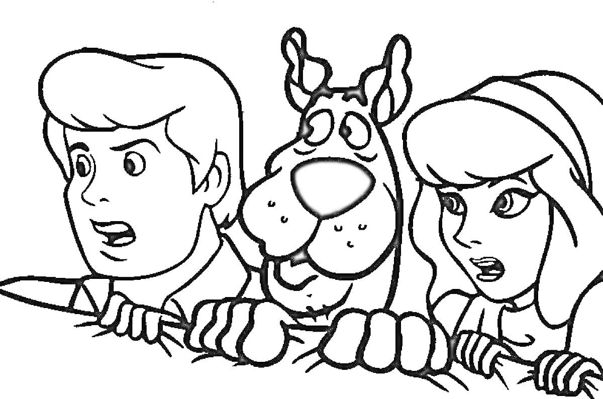 Раскраска Скуби Ду, Фред и Дафни - испуганные, выглядывают из-за препятствия