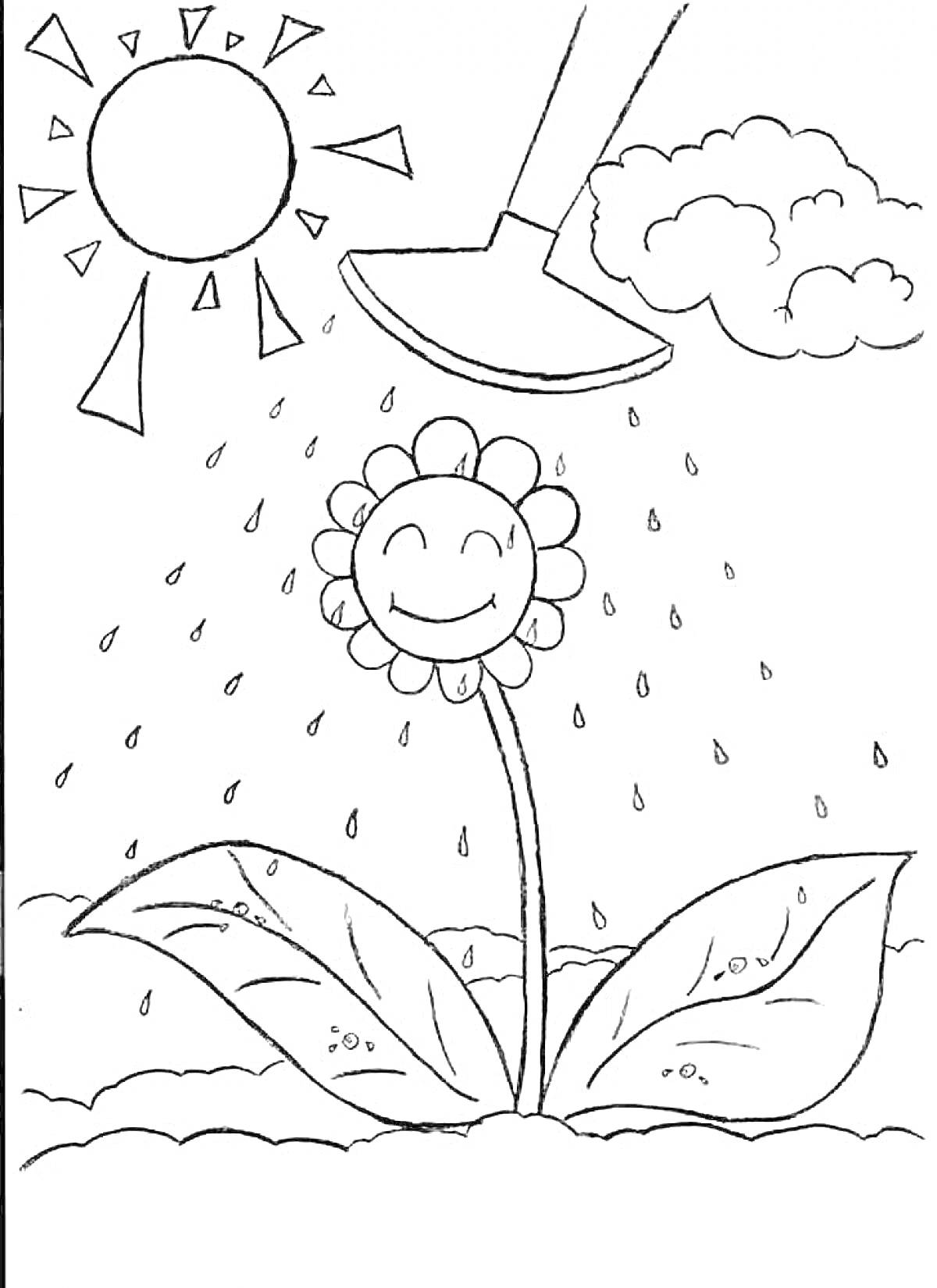 На раскраске изображено: Лейка, Вода, Листья, Солнце, Облака, Капли, Природа, Дождь, Улыбка, Растения
