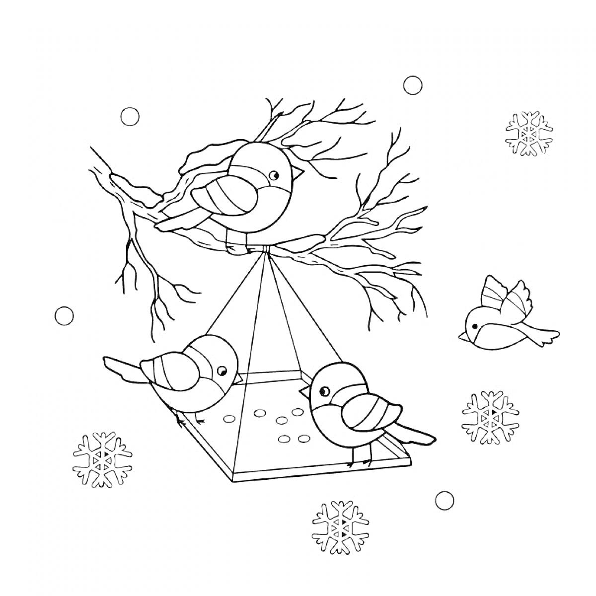 Раскраска Птицы на кормушке с веткой и снежинками