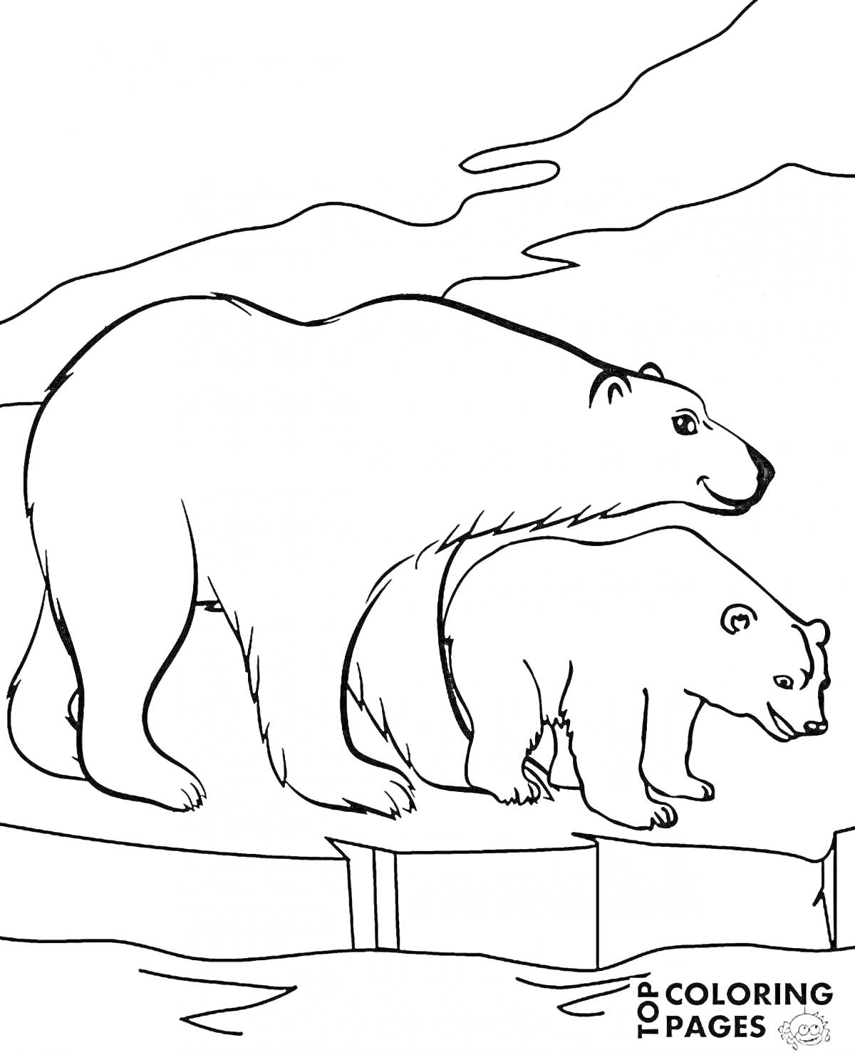 Раскраска Два белых медведя на льду со снежным фоном