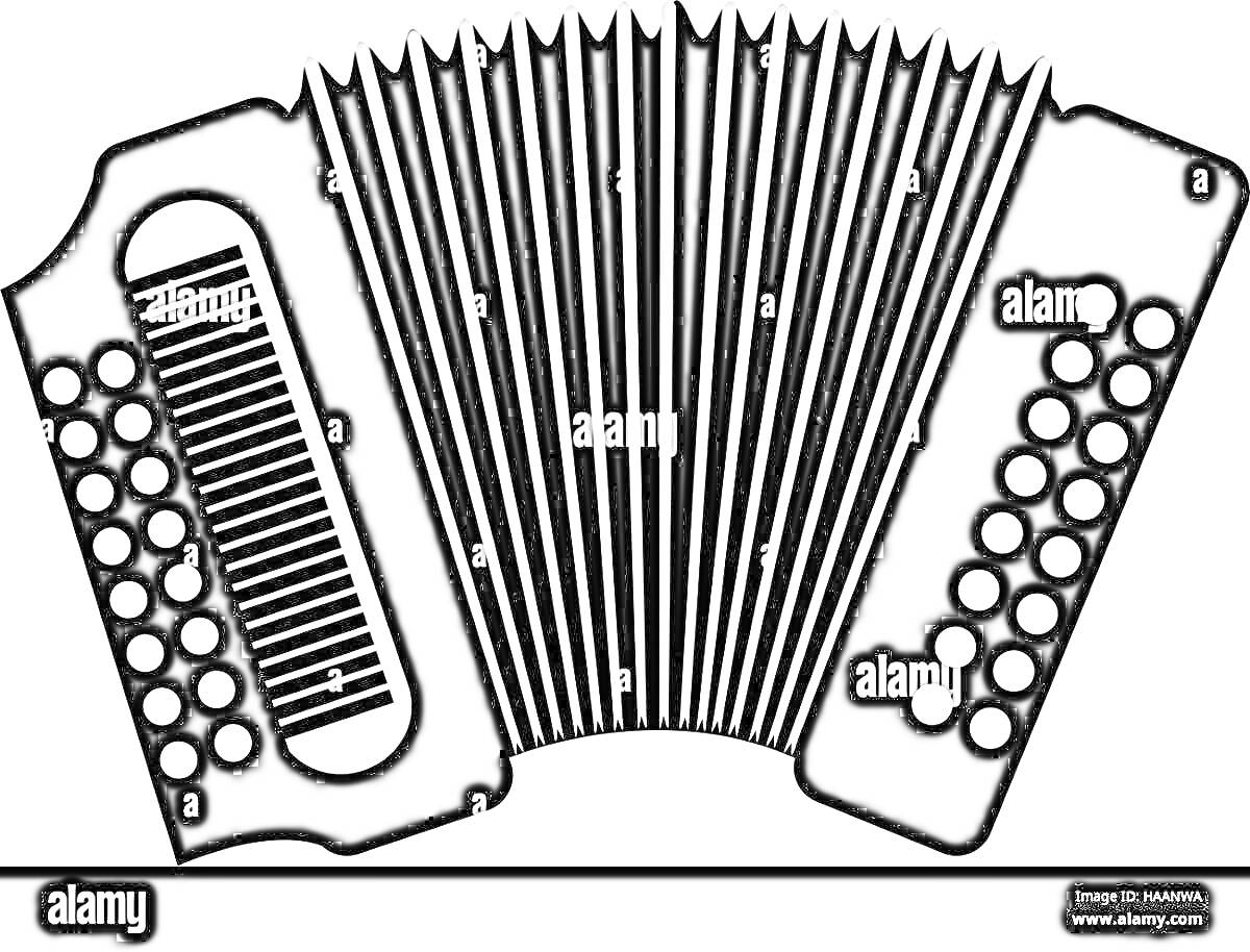 Раскраска Баян с клавиатурой, мехами и кнопками