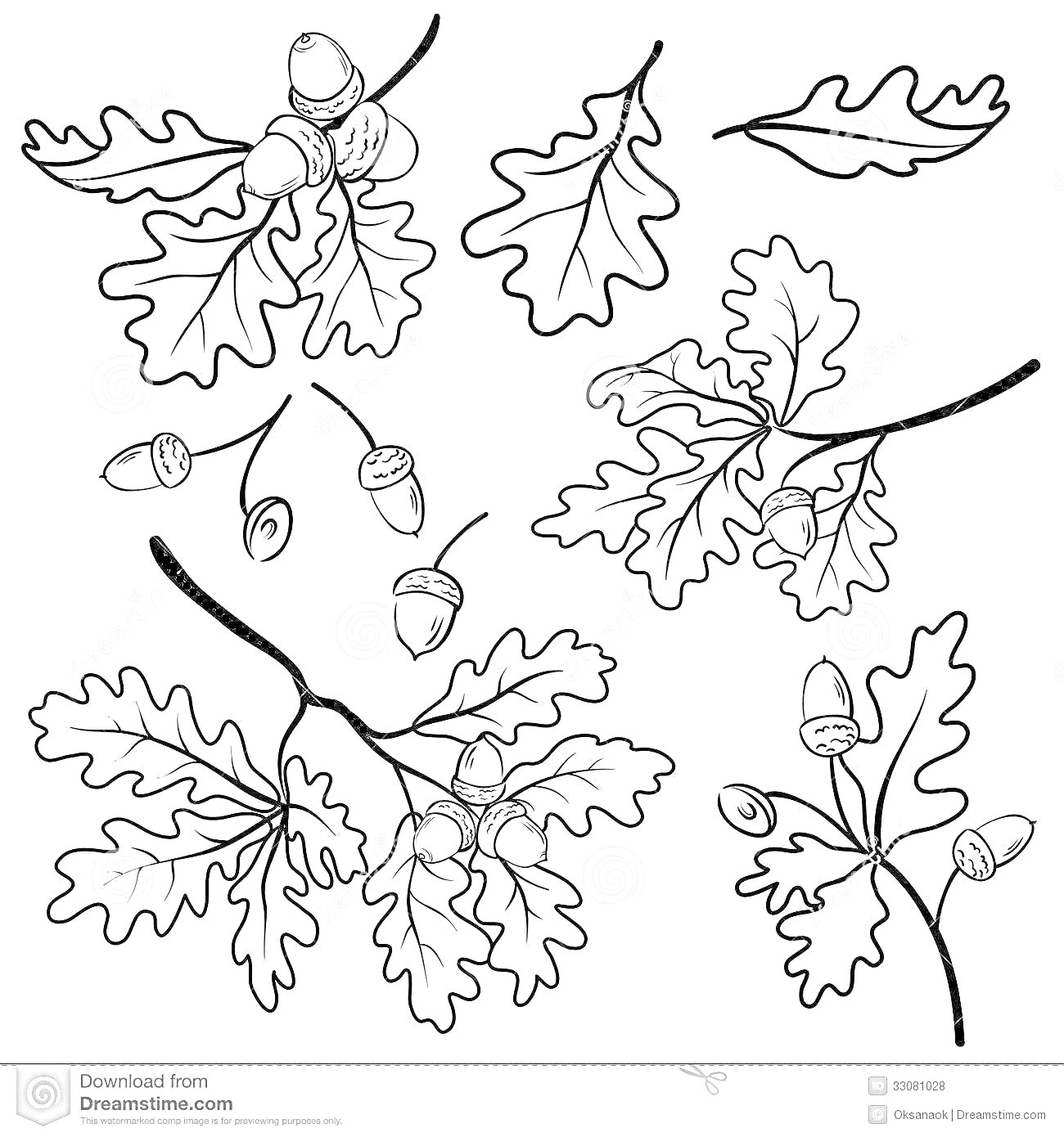 На раскраске изображено: Листья, Дуб, Ветка, Желуди, Природа, Осень