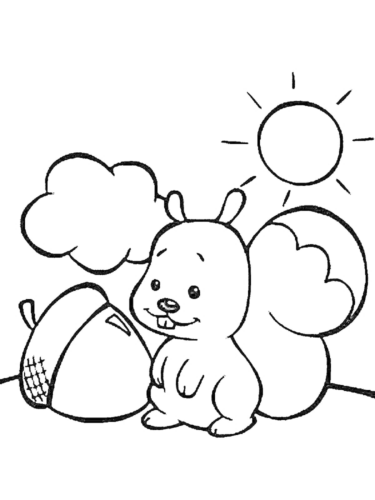 На раскраске изображено: Орех, Солнце, Облака, Детский сад, Белка