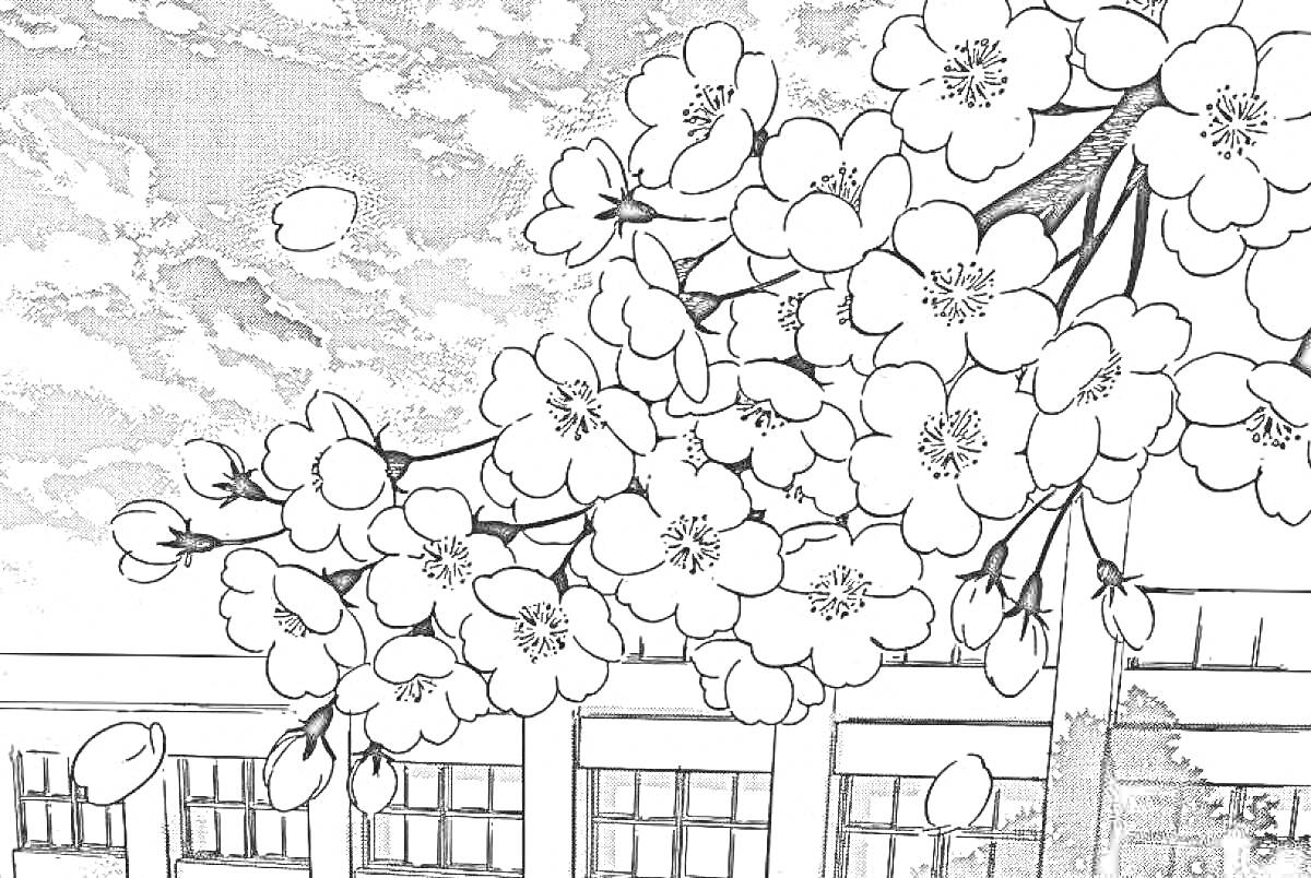 На раскраске изображено: Сакура, Школа, Здание, Облачное небо, Весна, Природа