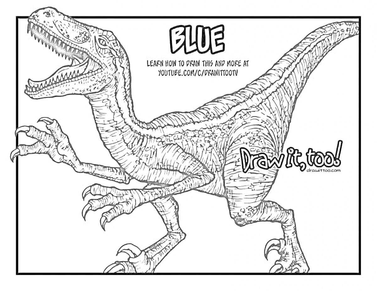 На раскраске изображено: Раптор, Динозавр, Blue, Арт, Открытая пасть