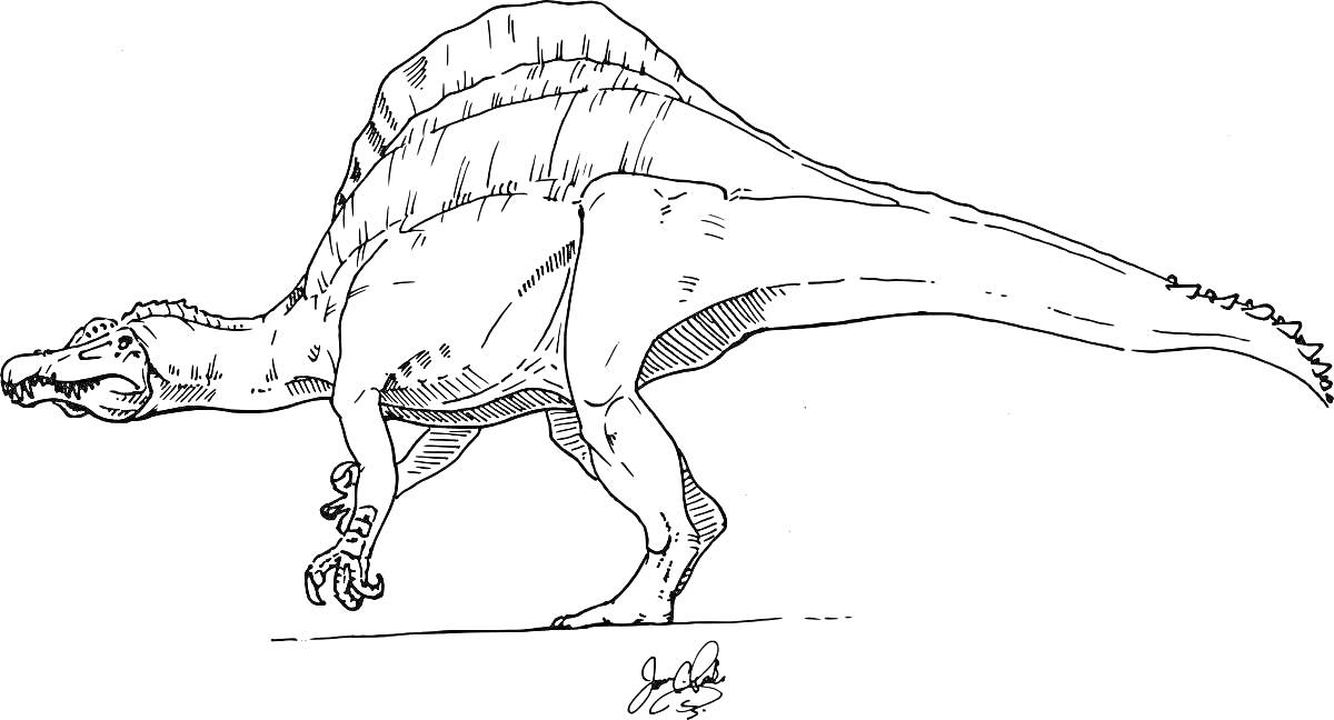 Раскраска Спинозавр с характерным парусом на спине, вид в профиль