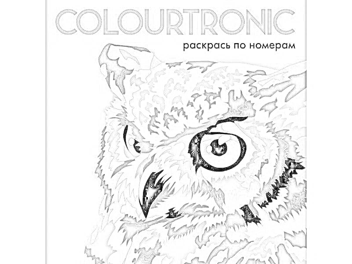 Раскраска Раскраска 