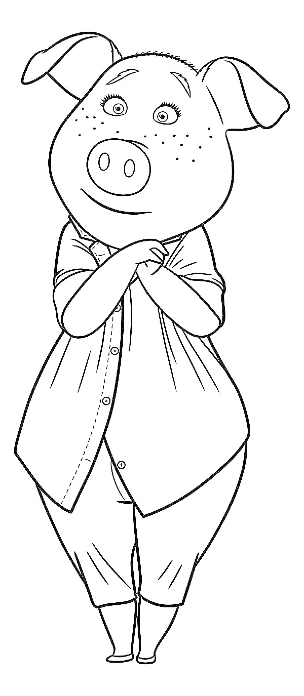 Раскраска Свинка в одежде из мультфильма 