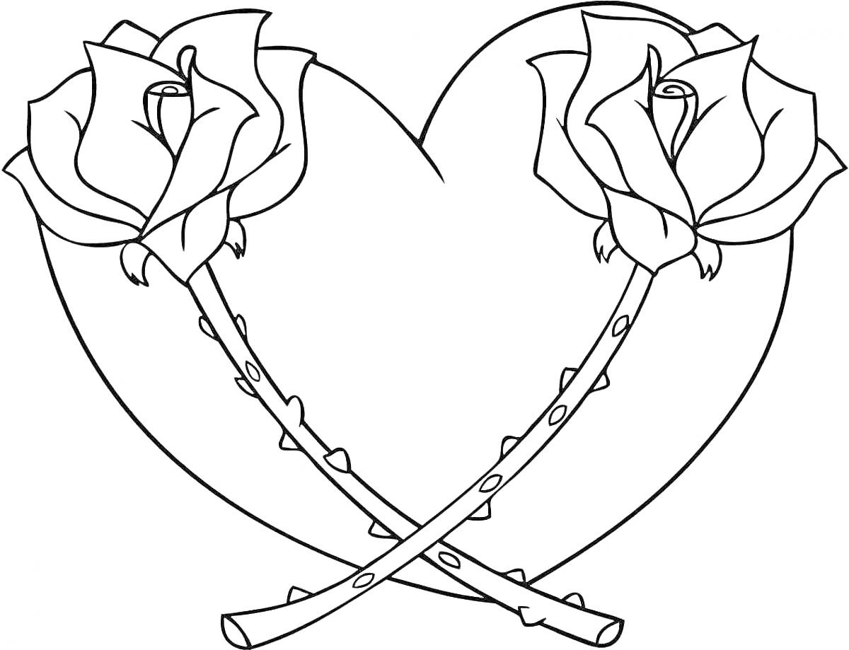 Раскраска Сердце с двумя перекрещенными розами
