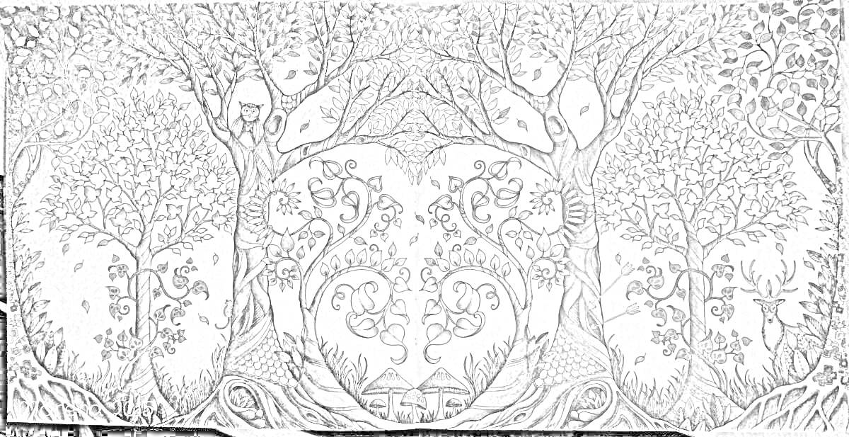 Раскраска Зачарованный лес с большими деревьями, домом, оленем и совами