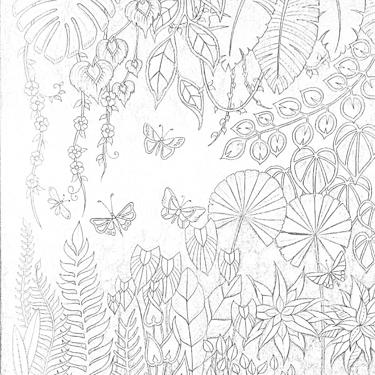 На раскраске изображено: Джунгли, Растения, Листья, Цветы, Лианы, Экзотика, Природа