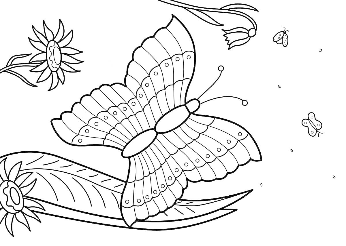 Раскраска Бабочка над цветами с бабочками и пчелами