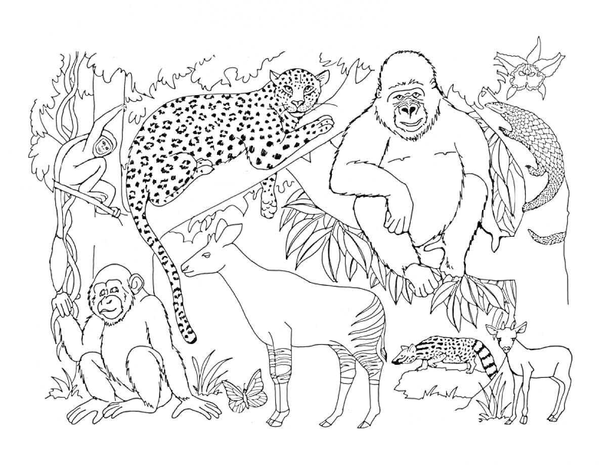 Раскраска Джунгли с животными — леопард, горилла, обезьяна, окапи, ленивец, ящерица, птица, бабочка, растения