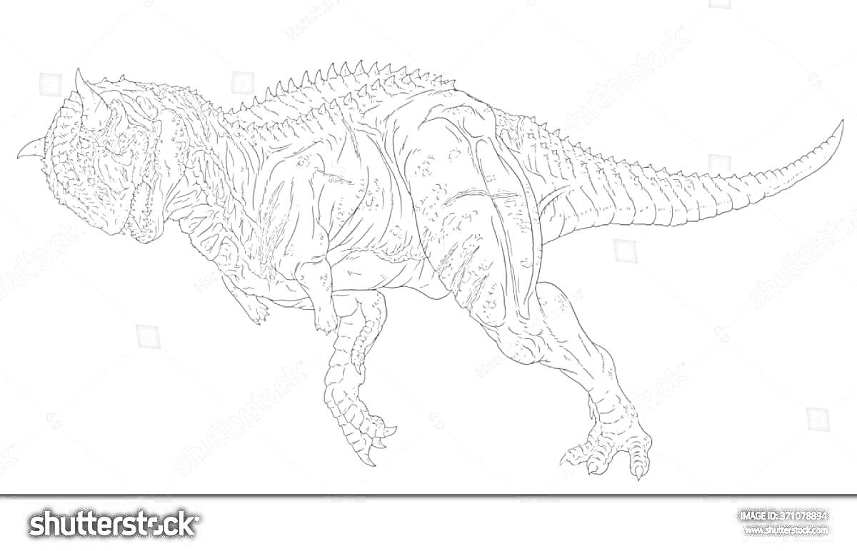 Раскраска Раскраска динозавр карнотавр в профиль