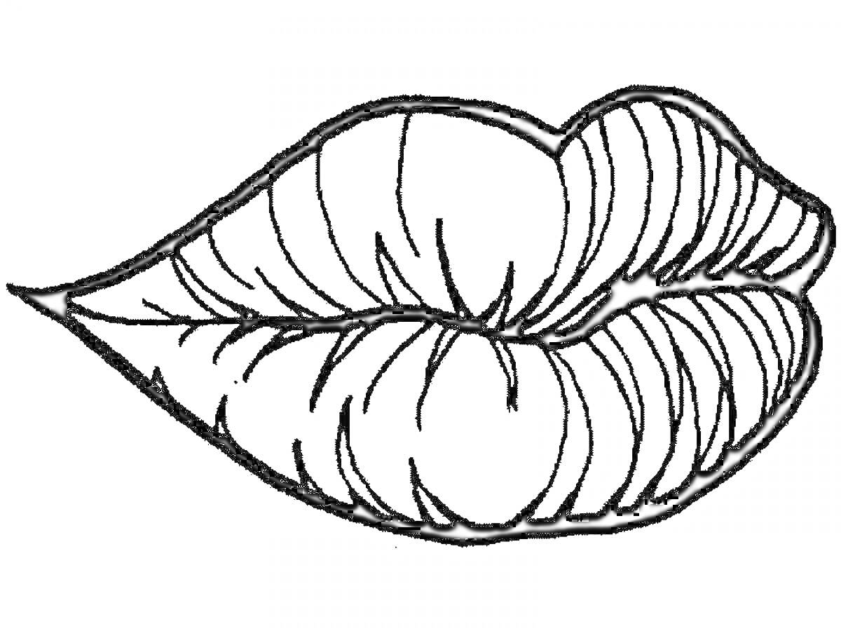 Раскраска Губы с линиями и штрихами
