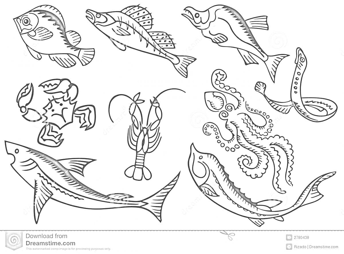 На раскраске изображено: Рыба, Рак, Креветка, Омар, Угорь, Морепродукты, Морская жизнь