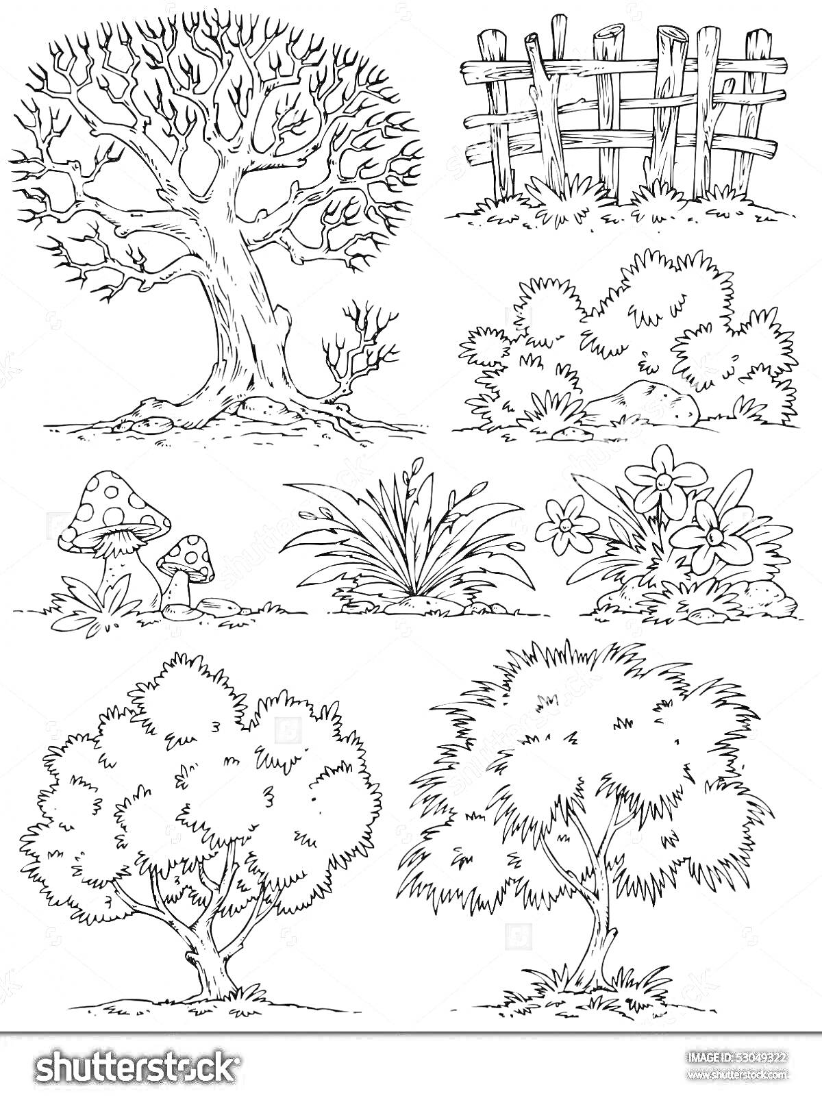 Раскраска Дерево, забор, куст, грибы, трава, цветы, куст с цветами