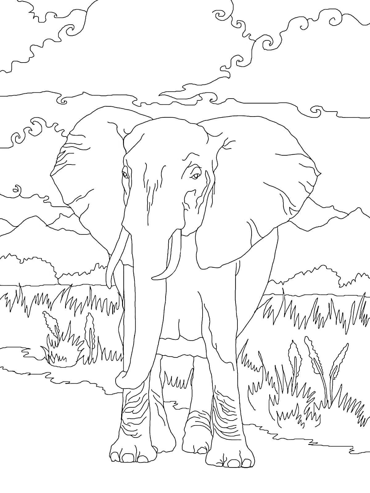На раскраске изображено: Африканский слон, Саванна, Горы, Кусты, Природа, Дикая природа