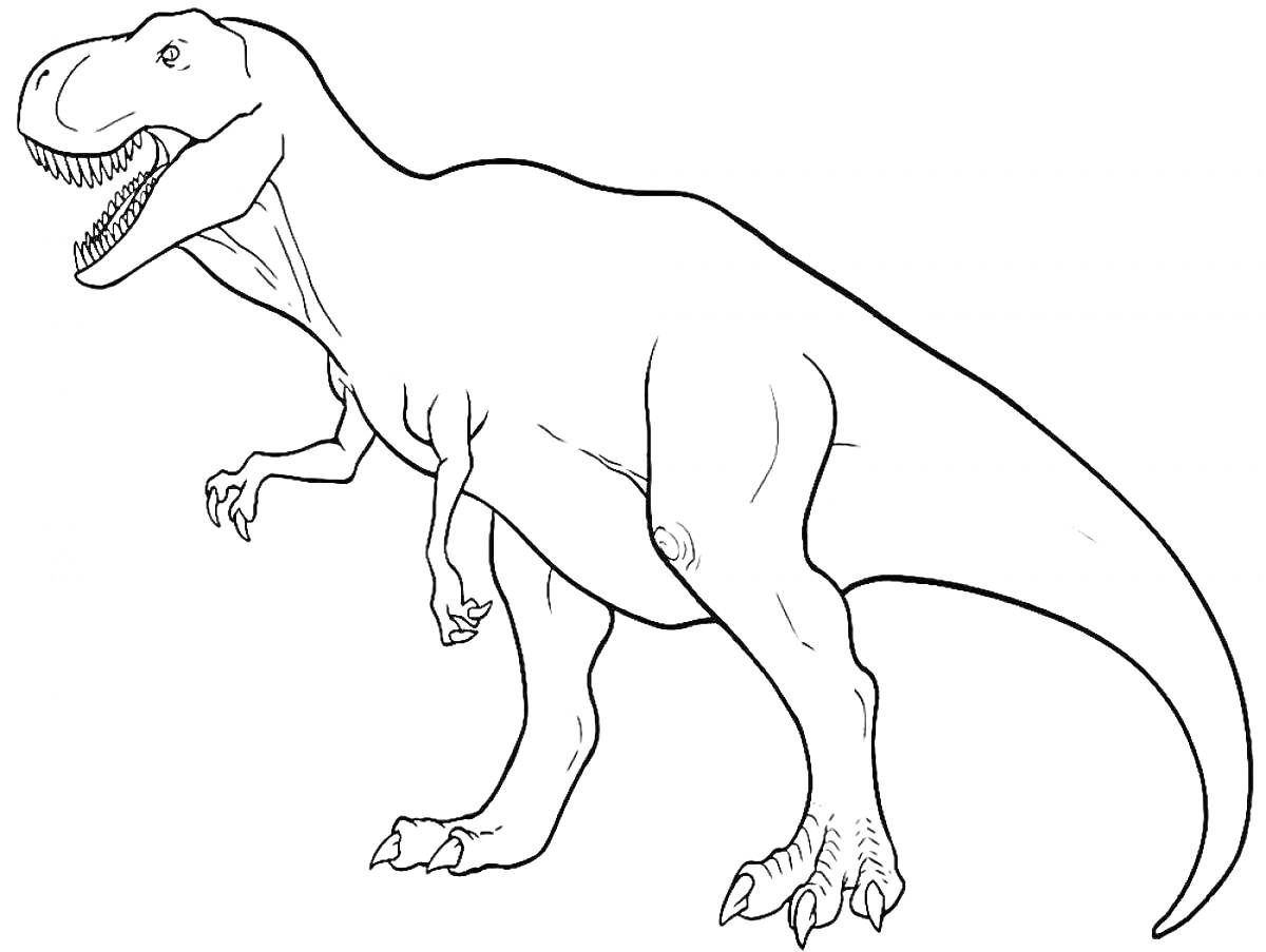 Раскраска Тираннозавр, стоящий на земле