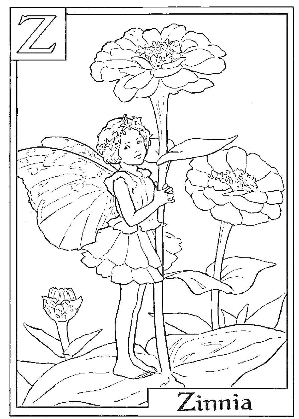 Раскраска Фея зиннии, стоящая на листе около цветов зиннии, с буквой 