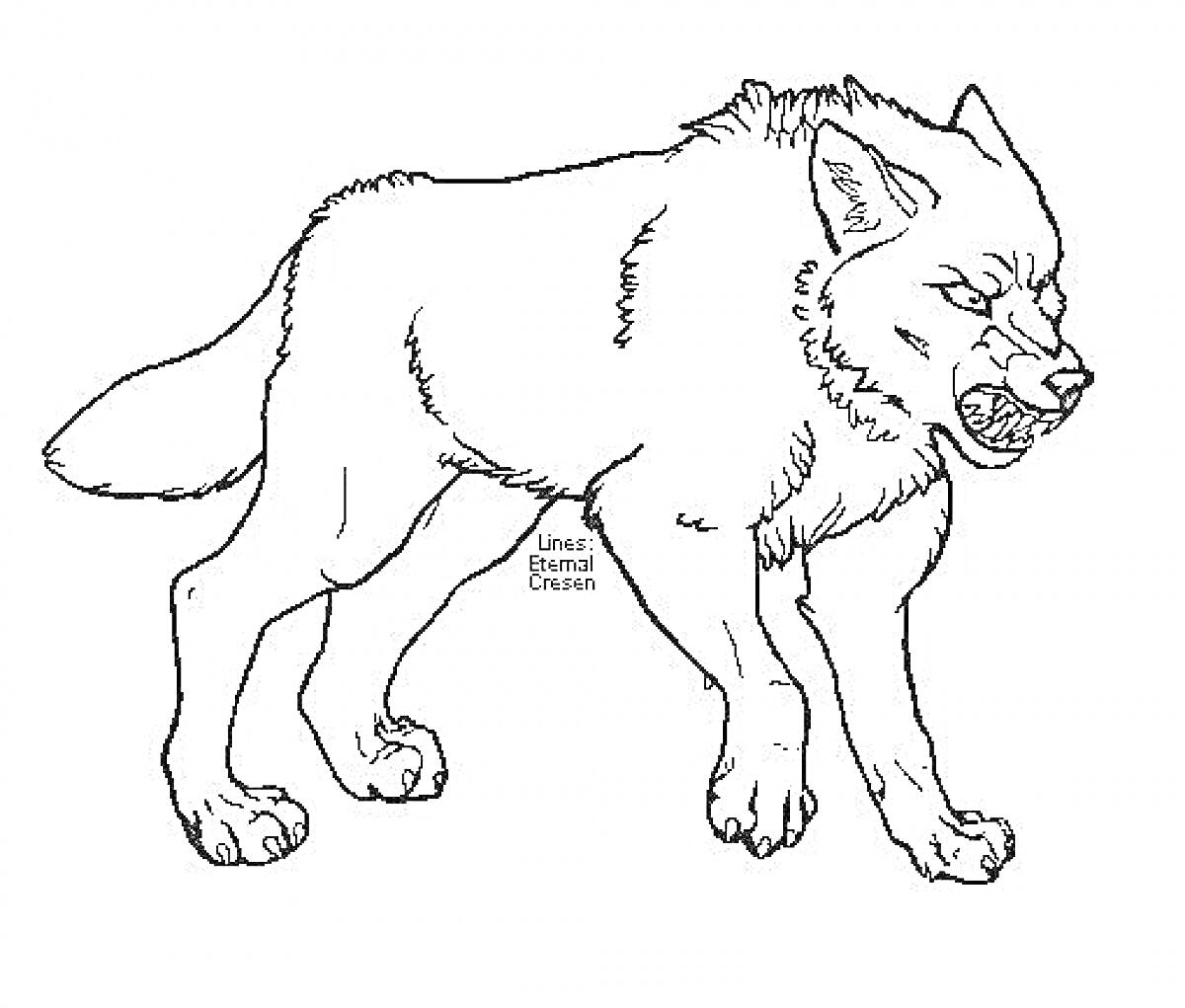 На раскраске изображено: Волк, Злой волк, Оскал, Шерсть, Опасность, Дикий зверь