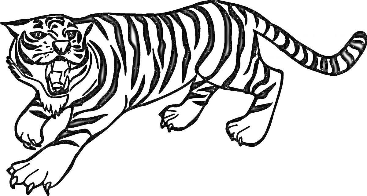 Раскраска Раскраска тигра для детей, прыгающий тигр с открытой пастью