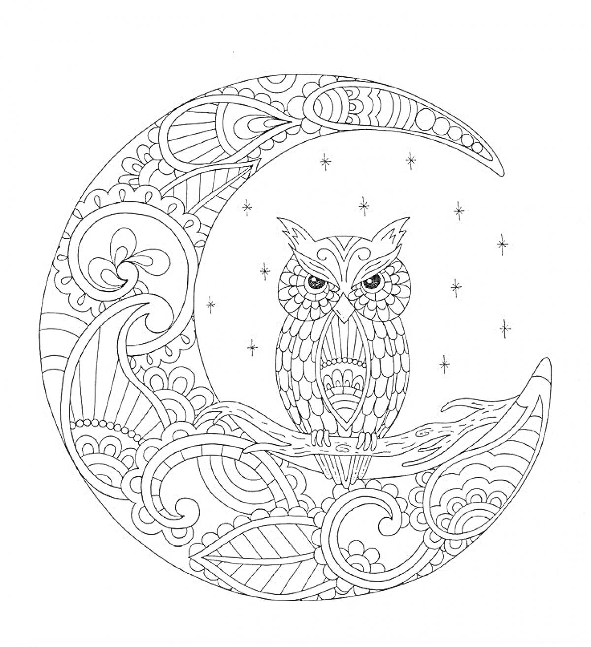 Раскраска Сова на ветке в дизайне полумесяца с узорами и звездами