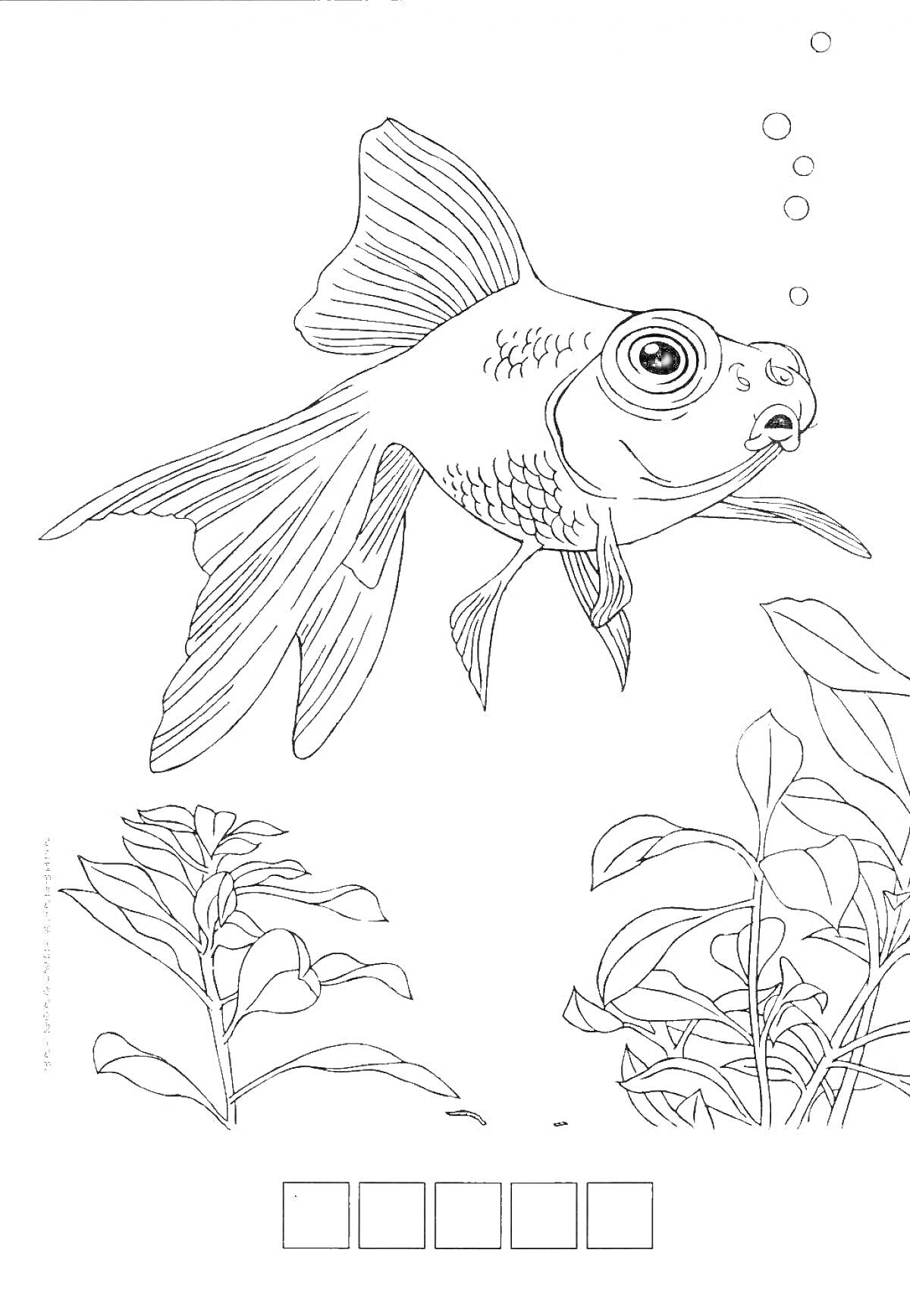 На раскраске изображено: Золотая рыбка, Аквариум, Растения, Вода