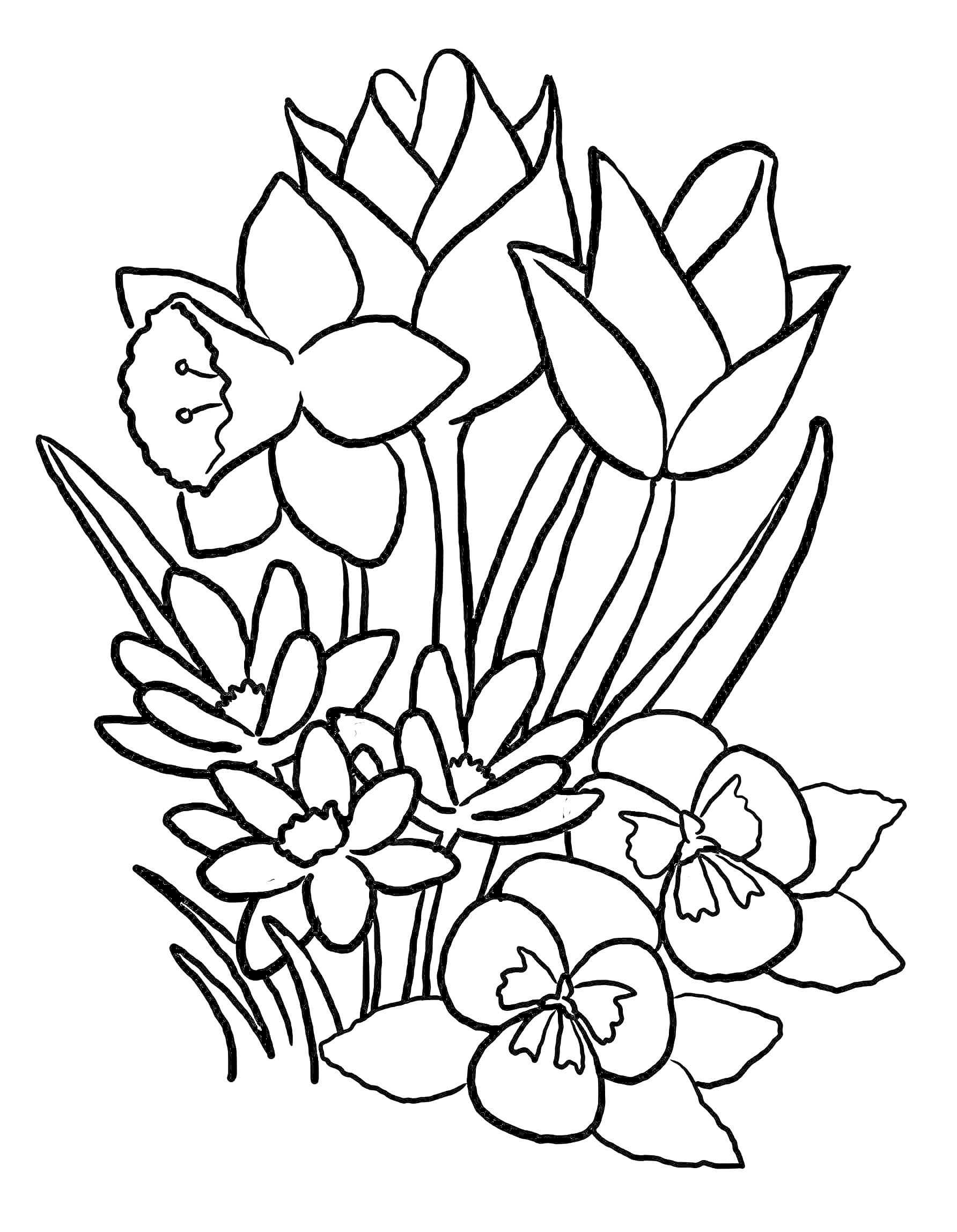Раскраска Нарисованные весенние цветы, такие как нарциссы, тюльпаны, крокусы и фиалки