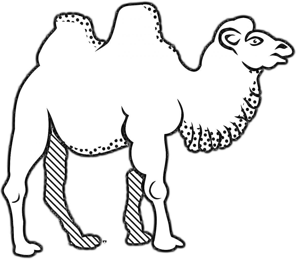 На раскраске изображено: Верблюд, Животные, Орнамент, Шея, Ноги, Для детей
