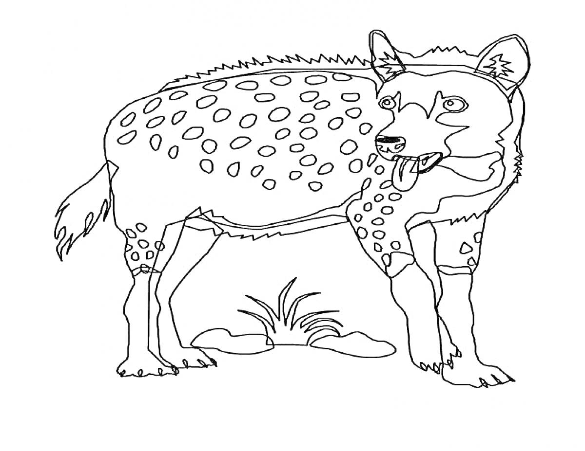 Раскраска с изображением гиены, стоящей на земле рядом с кустами