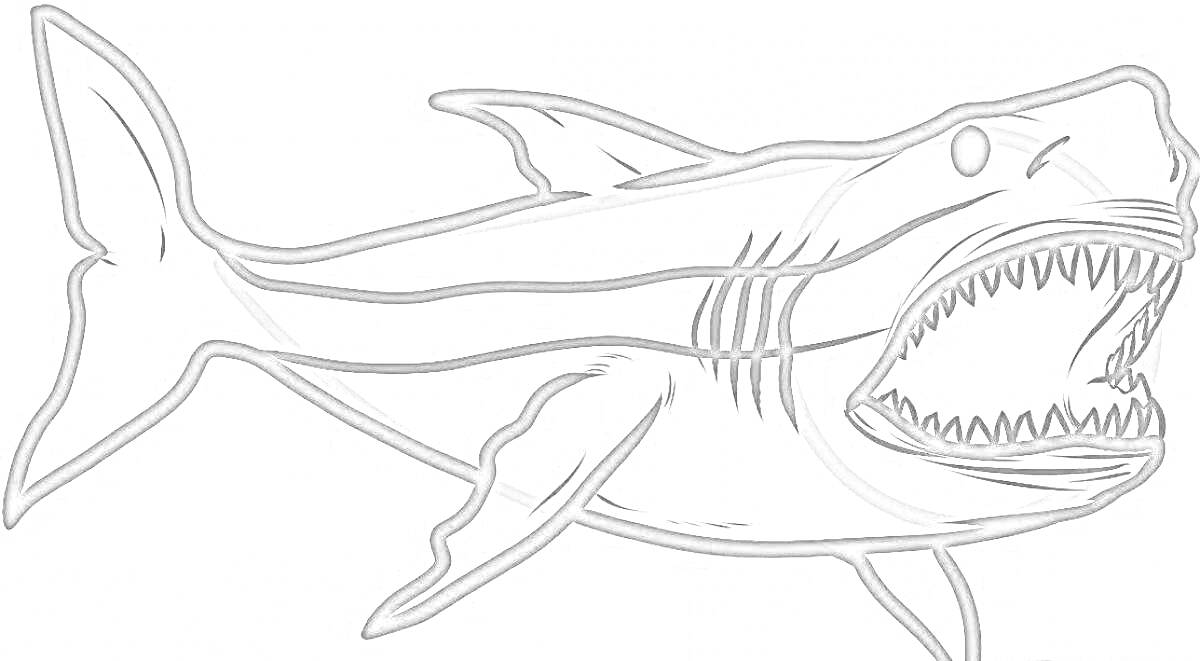Раскраска с изображением акулы мегалодон с открытой пастью, плавниками и хвостом