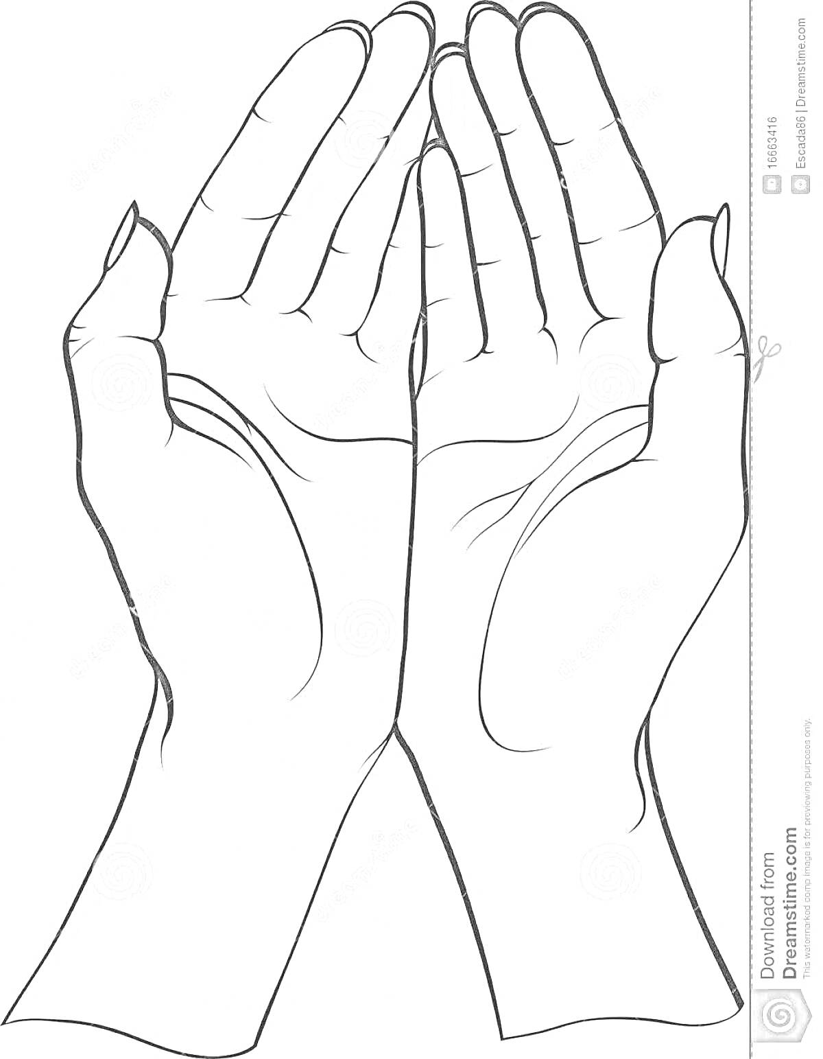 Раскраска Линия рук, две ладони, открытые вверх