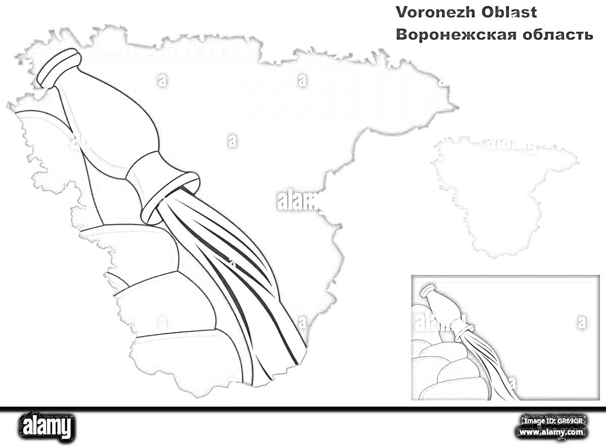 Герб Воронежской области, изображающий кувшин с льющейся водой на фоне карты региона.
