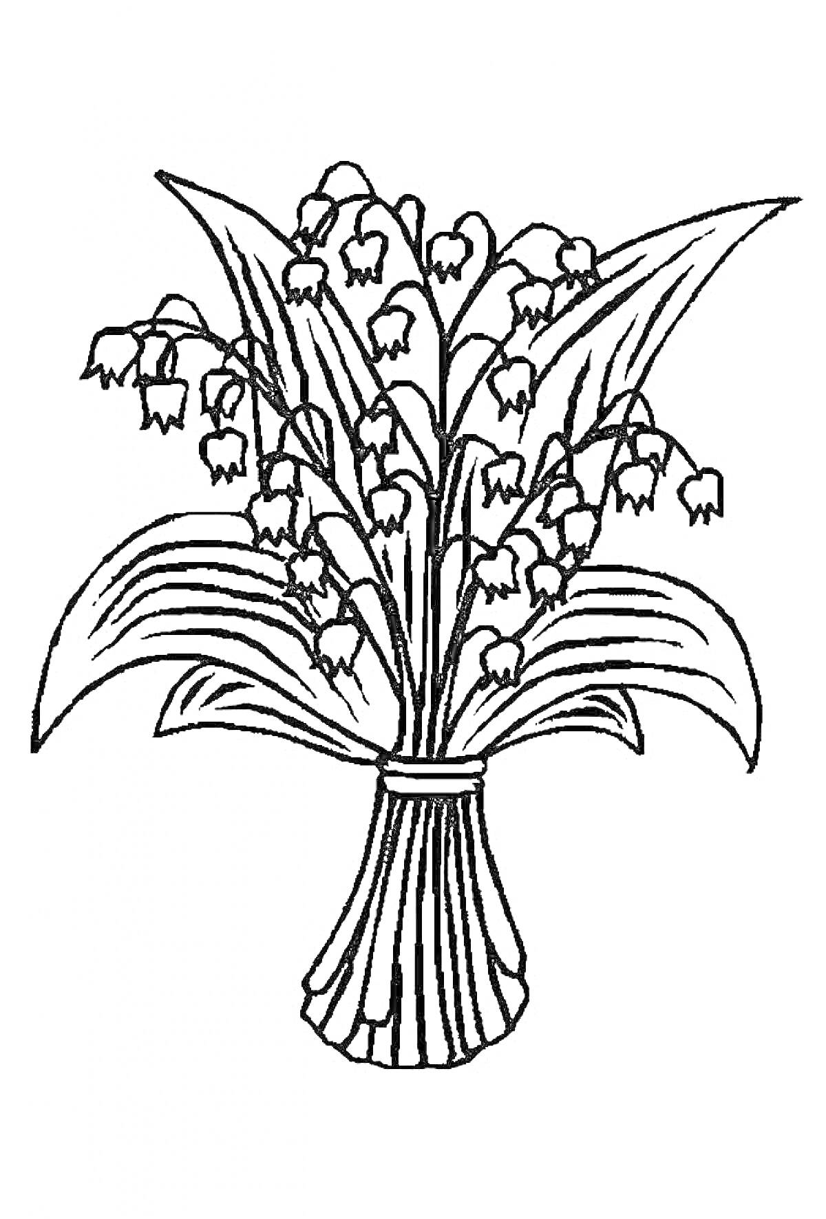 На раскраске изображено: Ландыш, Цветы, Ваза, Листья, Букет цветов, Контурные рисунки