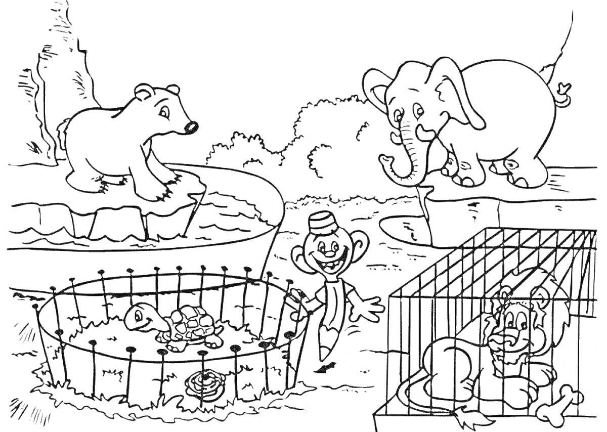На раскраске изображено: Зоопарк, Медведь, Слон, Лев, Черепаха, Человек, Цилиндр, Клеточки, Ограда