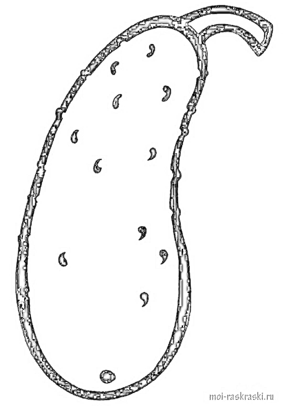 Раскраска Огурец с шипами для раскрашивания