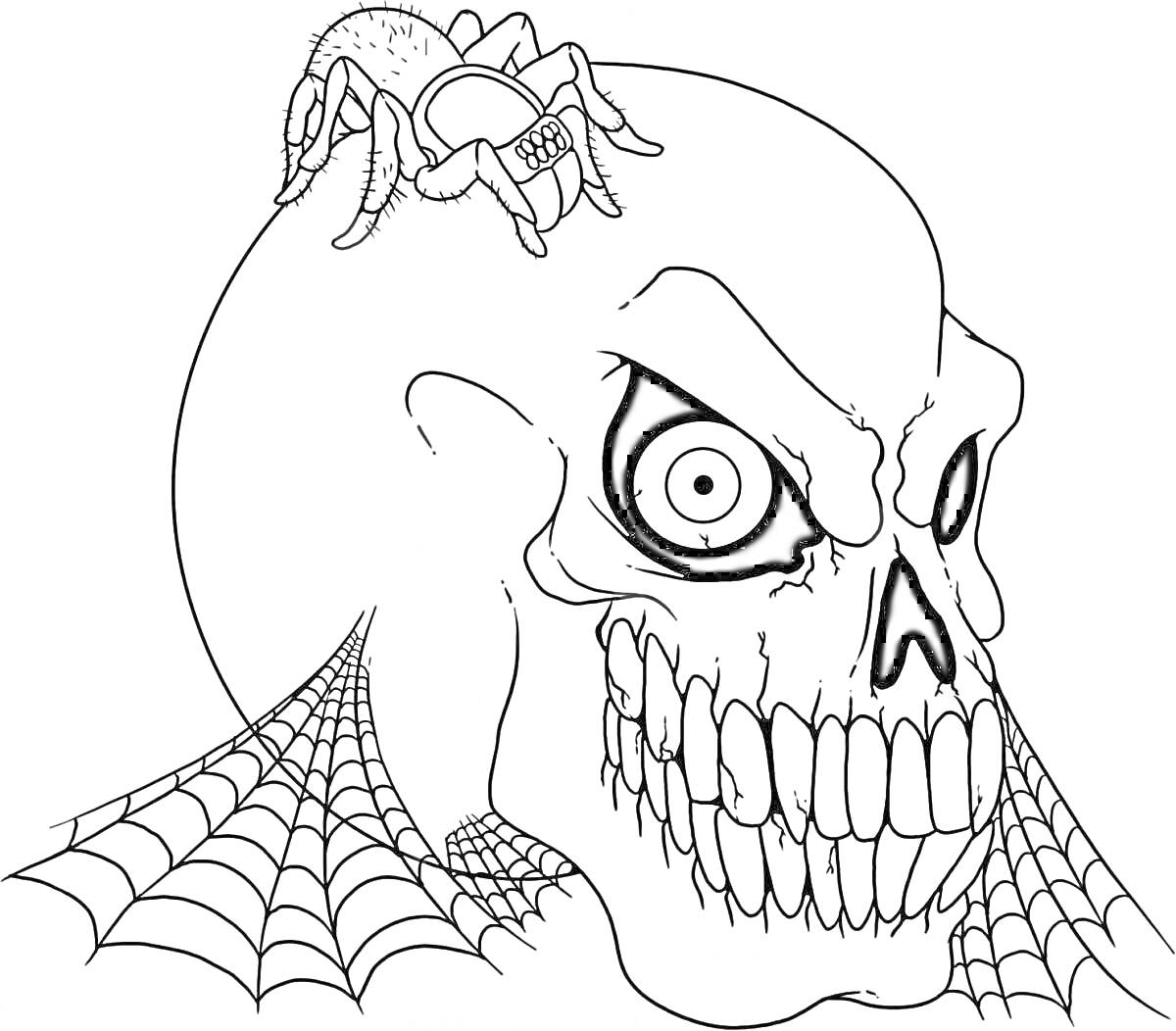 Раскраска Череп с пауком и паутиной